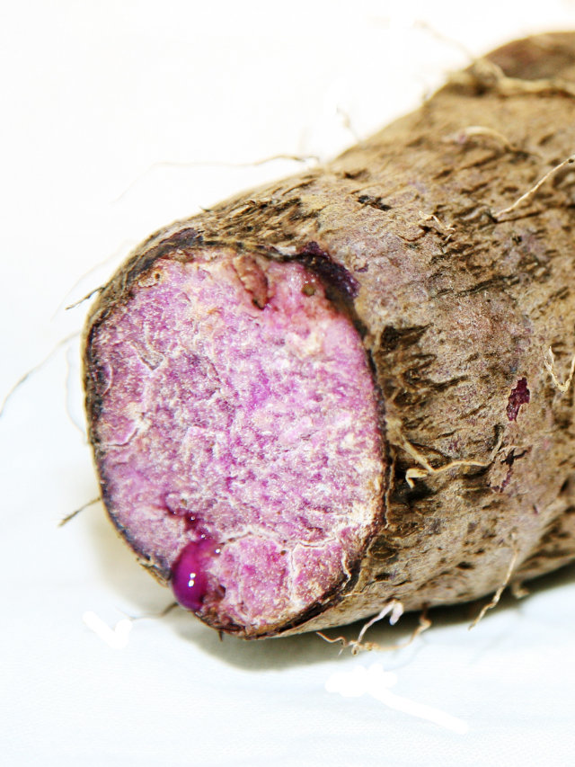 Sabor do Ano: o que é o Ube, ingrediente que está bombando no Starbucks e na internet